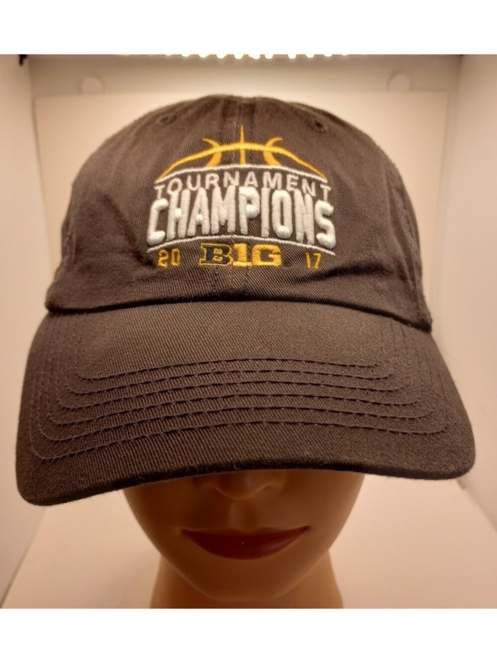 Michigan Big 2017 tournament champions just about baseball cap top of the world